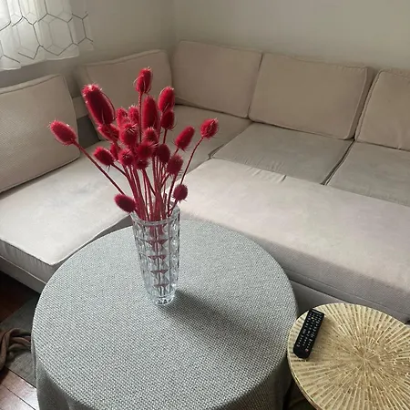 Modernite Et Elegance - Cosy *